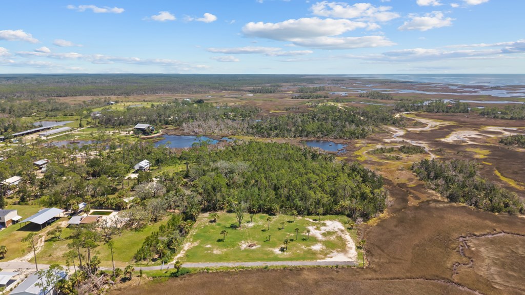 Land in Steinhatchee 5