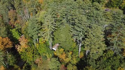 206 Cummings Road, Home with 0 bedrooms, 0 bathrooms and null parking in Chester VT | Image 1