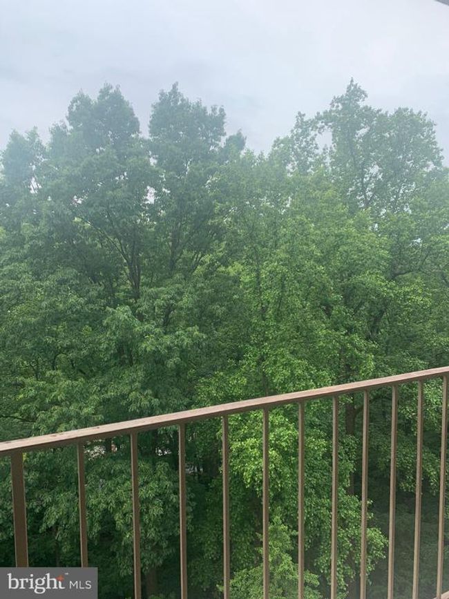 APT-706 - 9039 Sligo Creek Pkwy, Condo with 1 bedrooms, 1 bathrooms and null parking in SILVER SPRING MD | Image 9