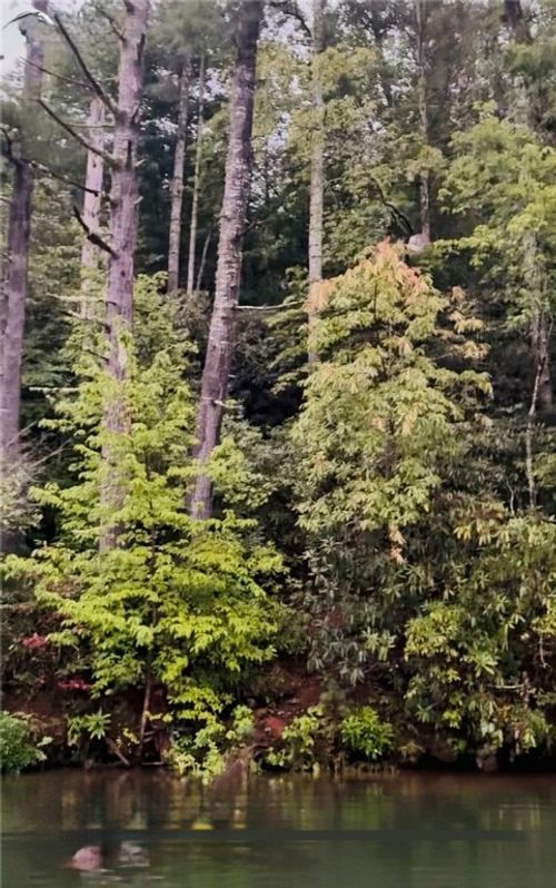 325 Evergreen Ridge Rd, Tamassee, SC, 29686-2111 | Card Image