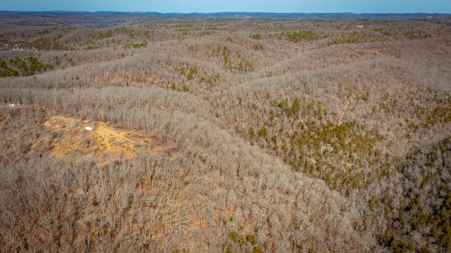 00 Bear Skin Dr, Home with 0 bedrooms, 0 bathrooms and null parking in Harriet AR | Image 24