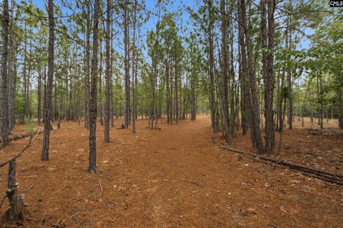 3390 Hunter Road, Kershaw, SC, 29067 | Card Image