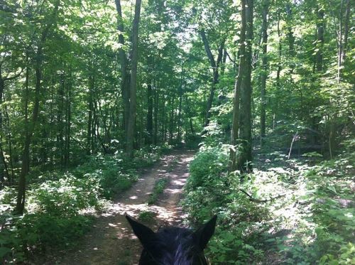 9999 Hales Fork Rd, Flat Lick, KY, 40935 | Card Image