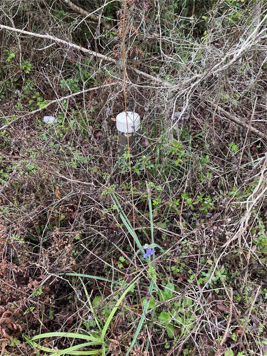 Land in BROOKSVILLE 4