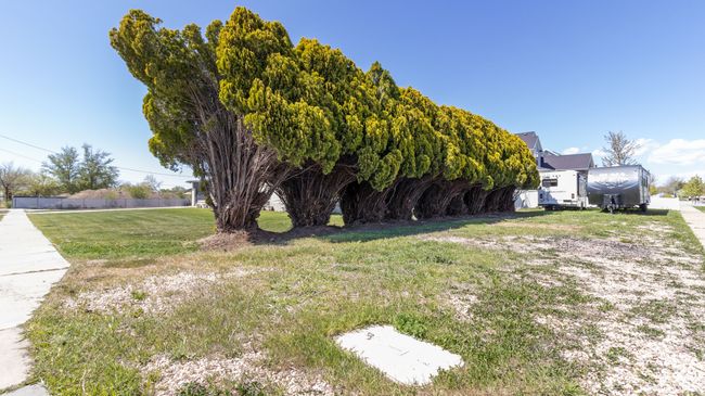 View of yard | Image 4