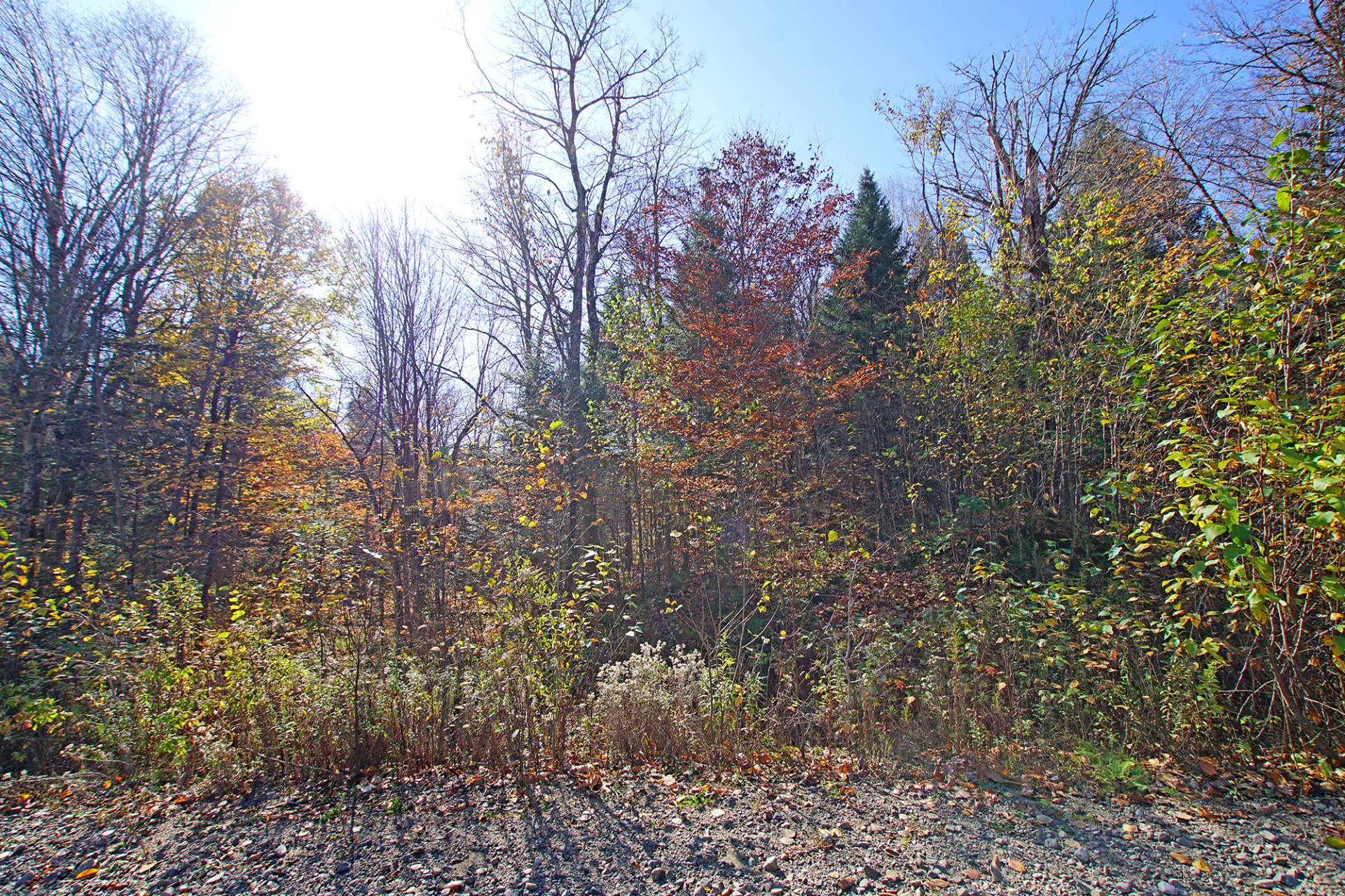 Land in Wentworth 4