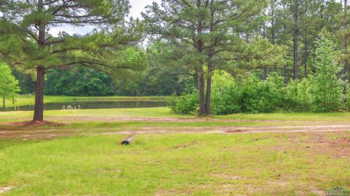 20 Cr 1766 Cut Off Rd., Jefferson, TX, 75657 | Card Image