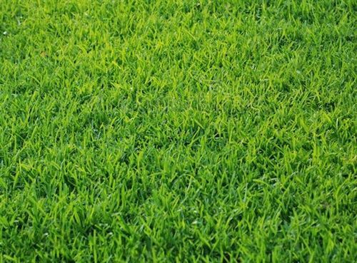 5104 Sydnie Road Nw, Rochester, MN, 55901 | Card Image