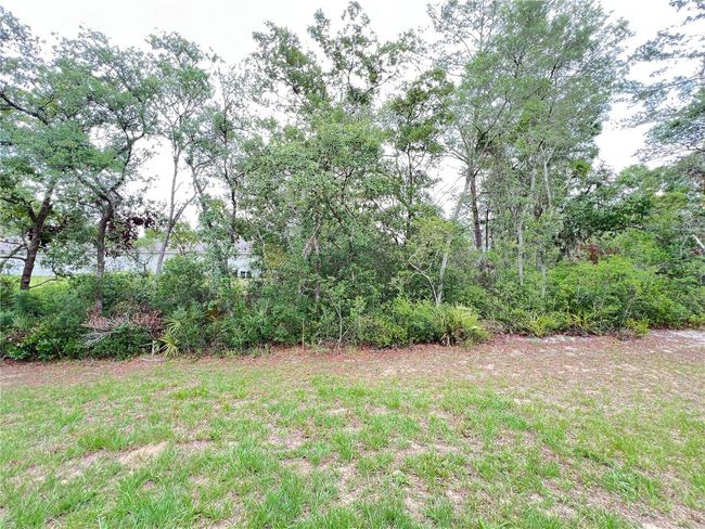 2736 Sw 161 St Loop, House other with 3 bedrooms, 2 bathrooms and null parking in Ocala FL | Image 6