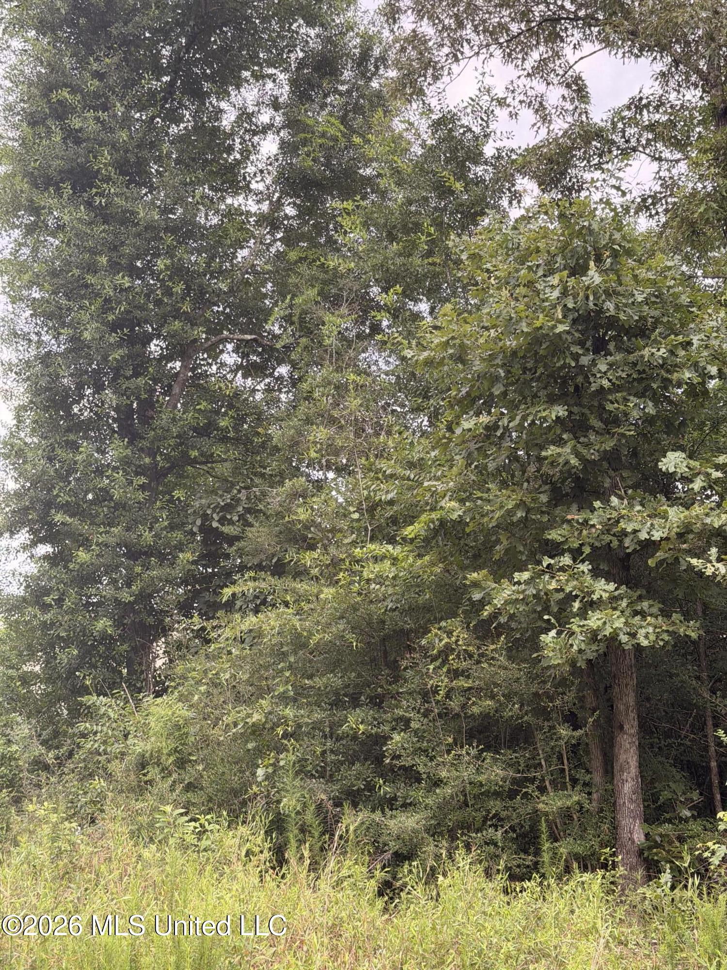 Land in McComb 2