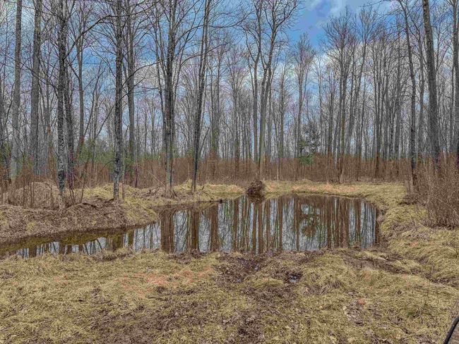 W10236 County Road M, Home with 0 bedrooms, 0 bathrooms and null parking in Merrill WI | Image 6