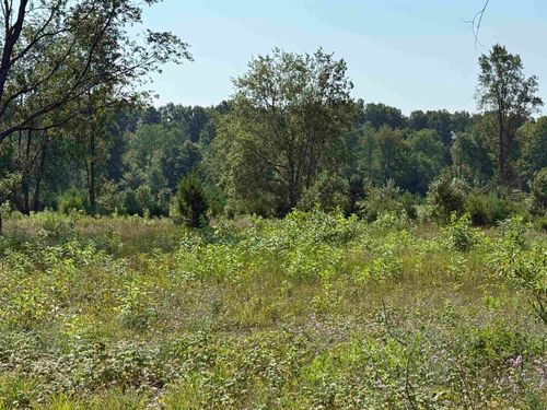 Parcel A8 S Bright Road, Kasson Township, MI, 49664 | Card Image