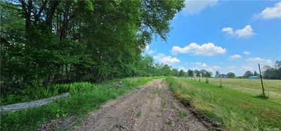 Lot 81.4 County Road 114, Home with 0 bedrooms, 0 bathrooms and null parking in Cochecton NY | Image 3