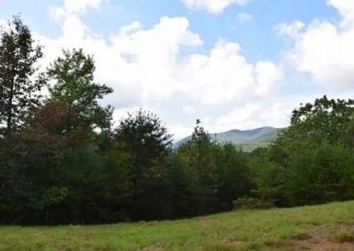 114 Black Hawk Trl, Turtletown, TN, 37391 | Card Image