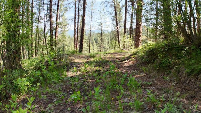 36 Meadow Lark Cir, Home with 0 bedrooms, 0 bathrooms and null parking in Idaho City ID | Image 13