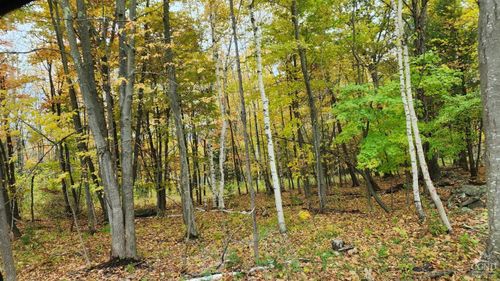 3333 County Route 10, Ashland, NY, 12407 | Card Image