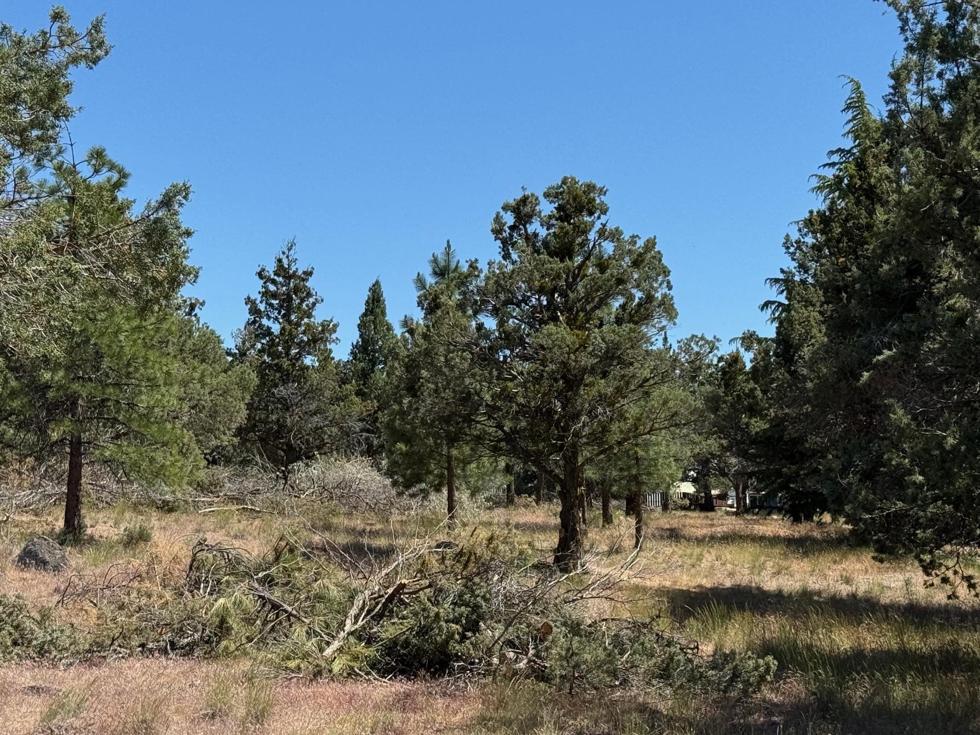 Land in Weed 3