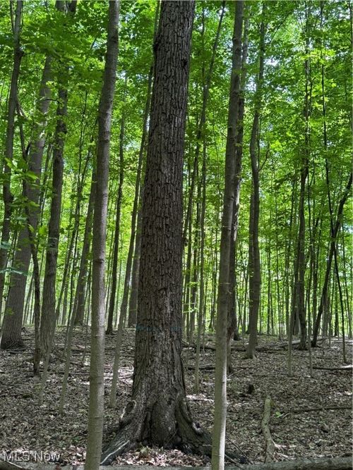 V/L Huntoon Rd, Painesville, OH, 44077 | Card Image