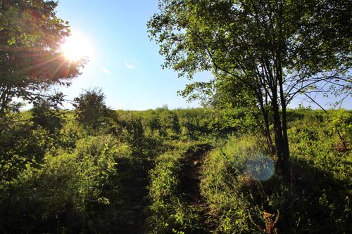 lot-5-27 Faywood Rd, Grand Isle, VT, 05458-2327 | Card Image