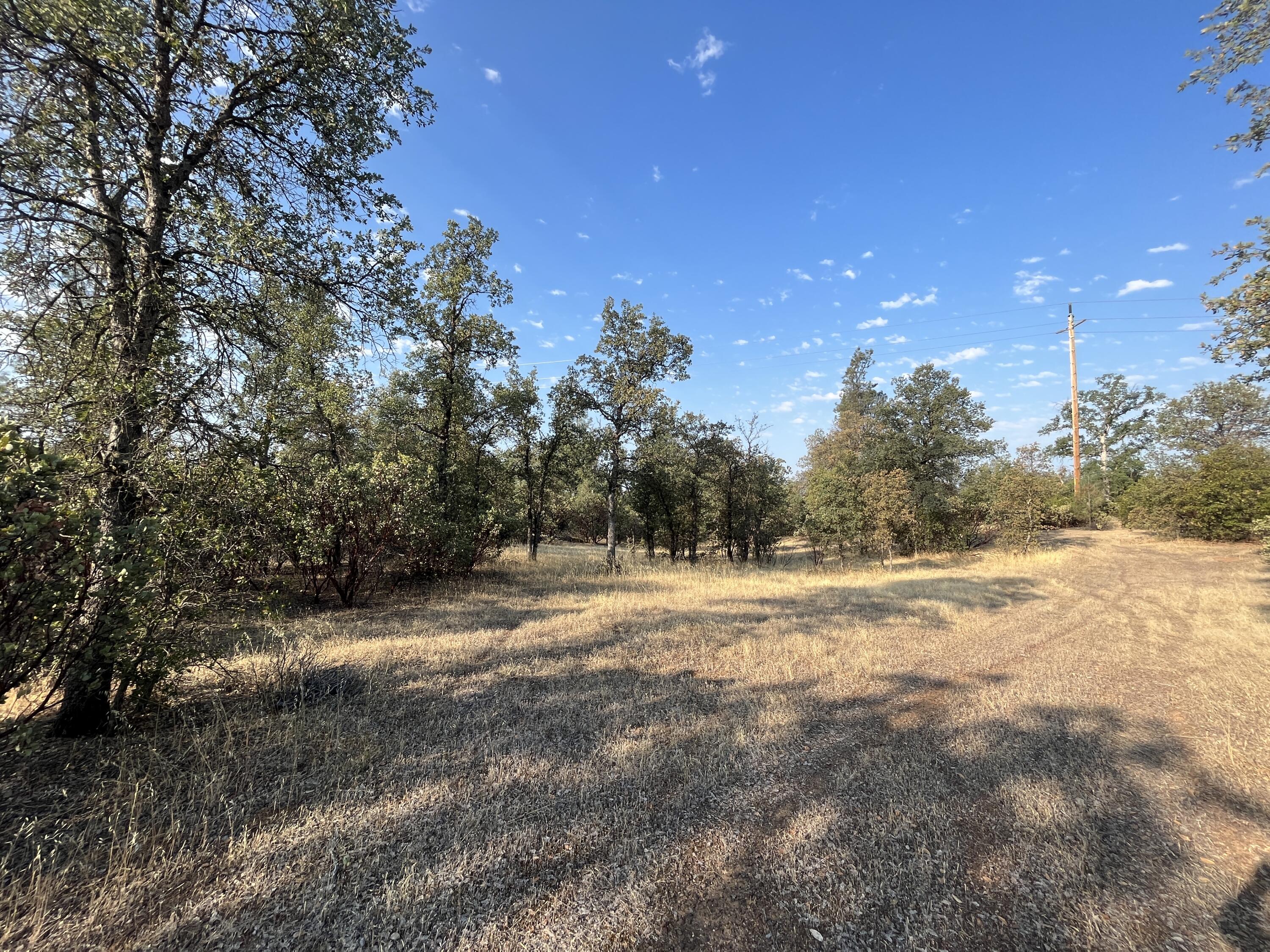 Land in Redding 2
