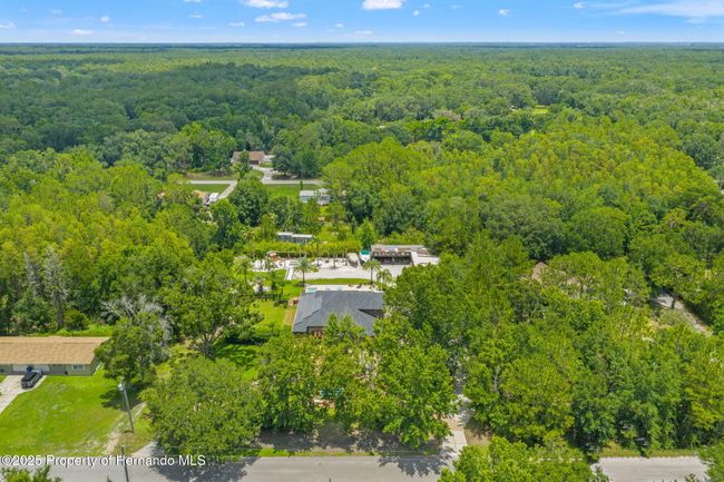 26221 Pheasant Run, House other with 4 bedrooms, 3 bathrooms and null parking in Wesley Chapel FL | Image 78