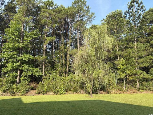 View of grassy yard | Image 37