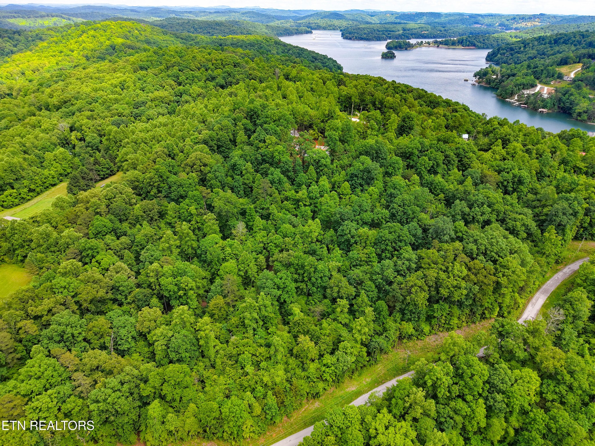 Land in La Follette 3