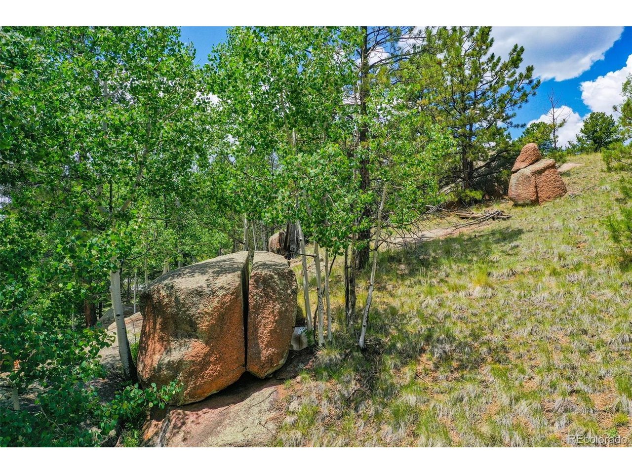 Land in Florissant 5