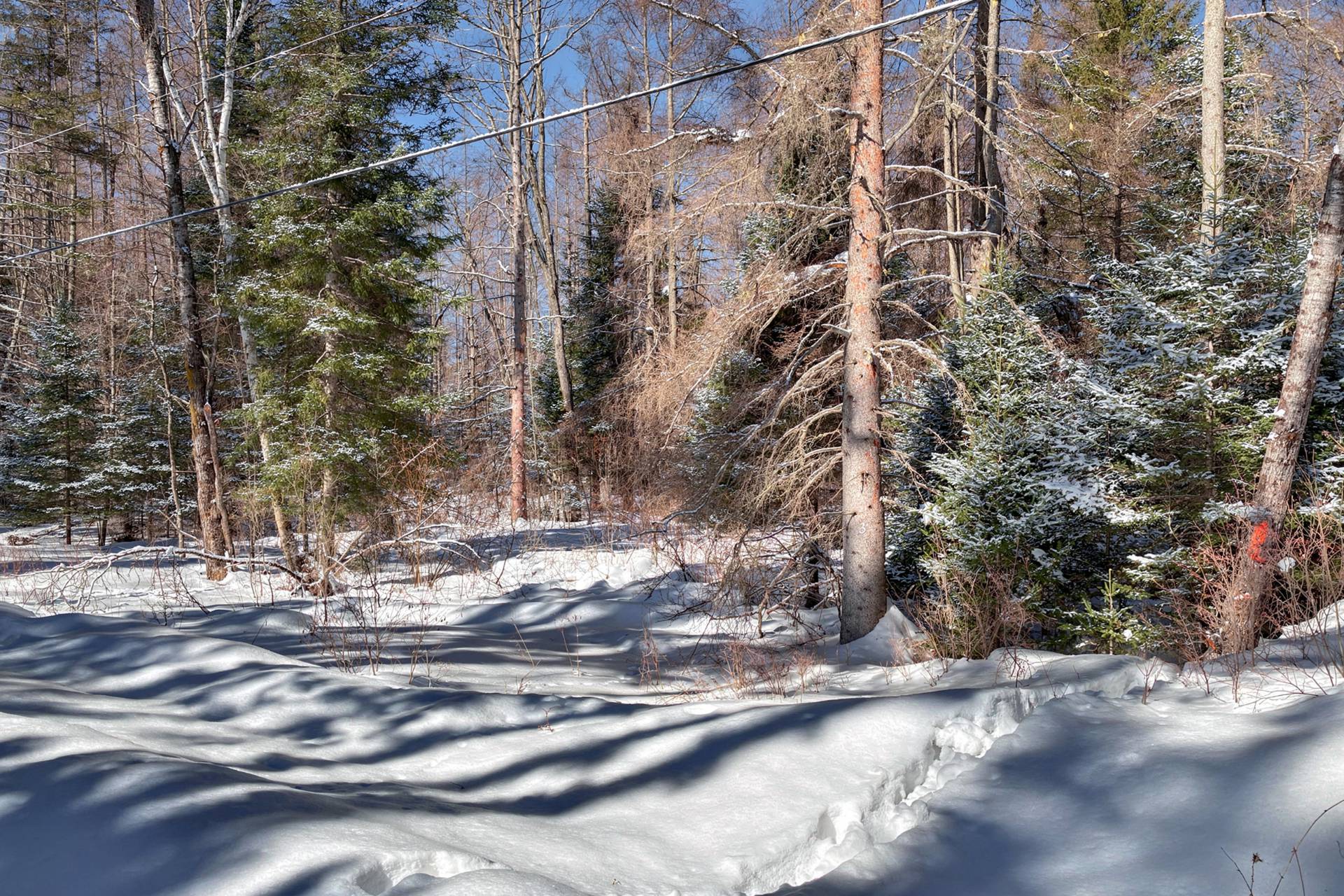 Land in Mont-Tremblant