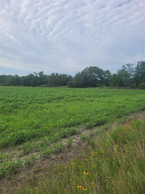 TBD Us Highway 271 S, Deport, TX, 75435 | Card Image
