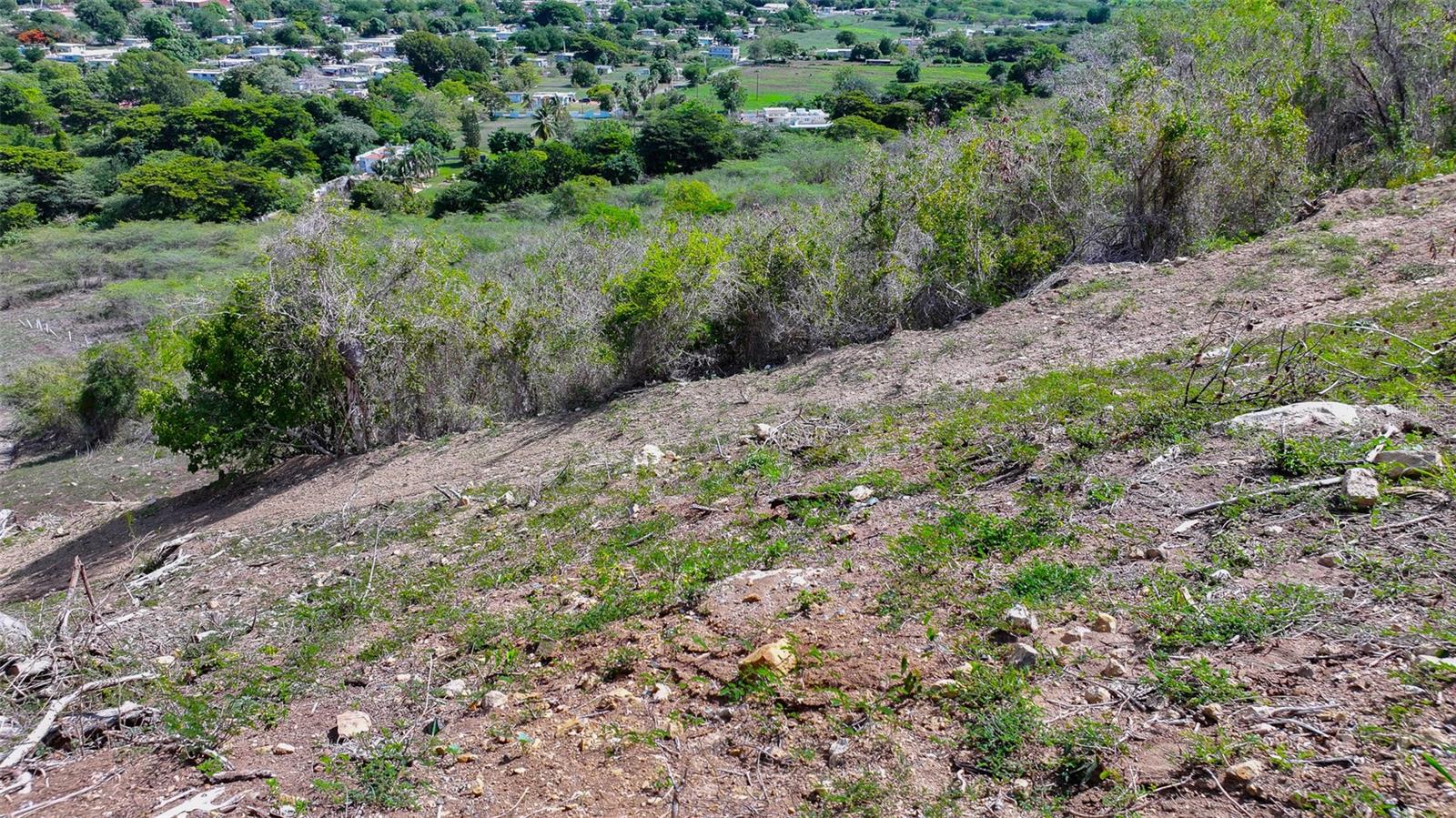 Land for sale in SABANA GRANDE, 121 ROAD 121
