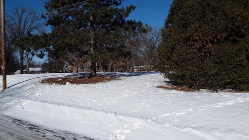 3 3rd St Nw, Forest Lake, MN, 55025-1115 | Card Image