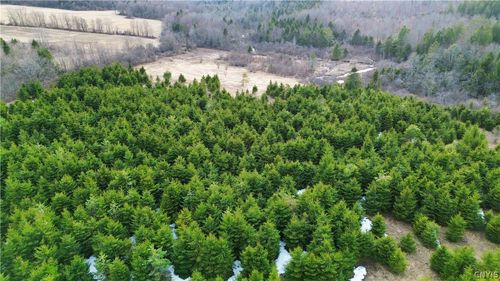 Lot 5 Burrell Rd, Little Falls, NY, 13365 | Card Image