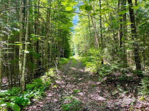 00 Georges Blvd, East Haven, VT, 05837 | Card Image