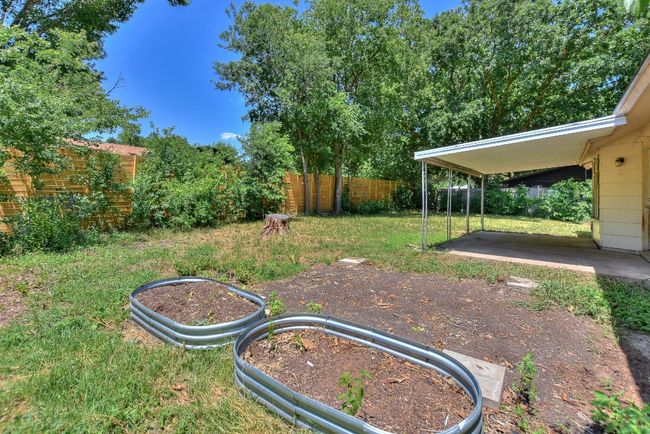 Back Yard | Image 27