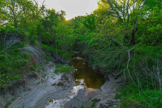 View of local wilderness | Image 36