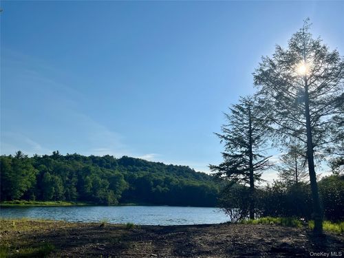 47 Eagles Ridge Way, Parksville, NY, 12768 | Card Image