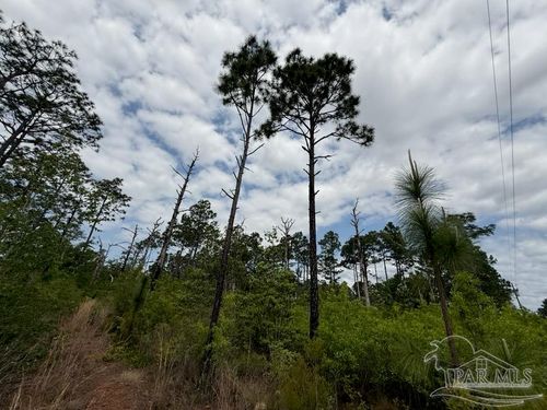 6589-1 Aegean Dr, Milton, FL, 32583 | Card Image