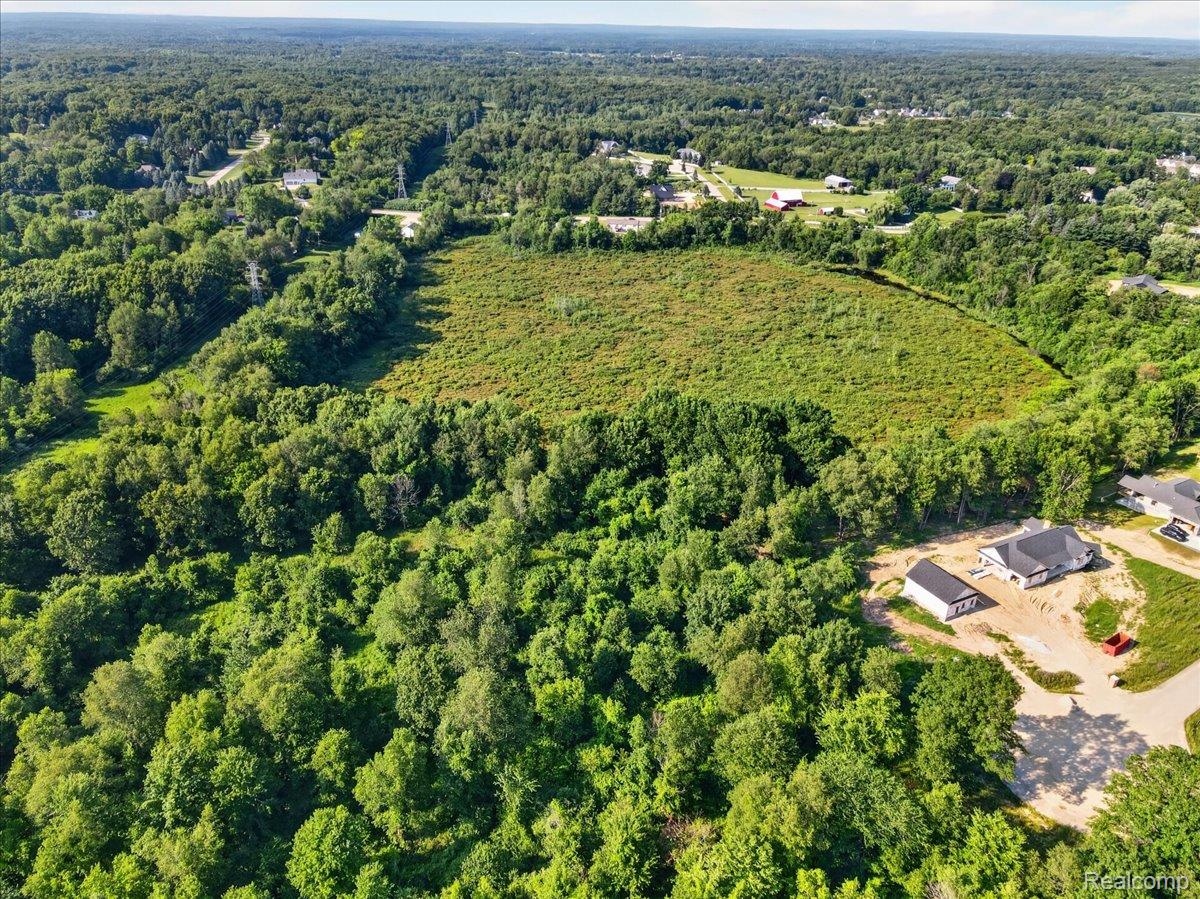 Residential in Metamora Township 5