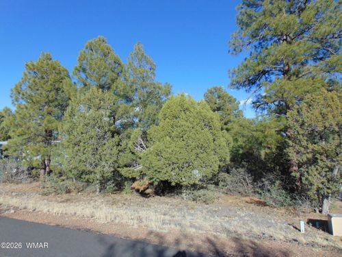 681 S 2nd St, Show Low, AZ, 85901-2766 | Card Image