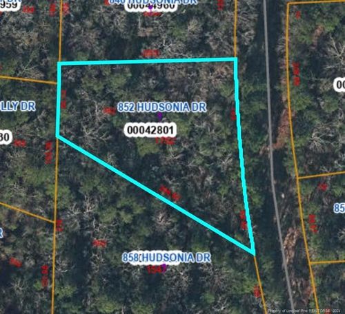 852 Hudsonia Dr, Vass, NC, 28394-8108 | Card Image