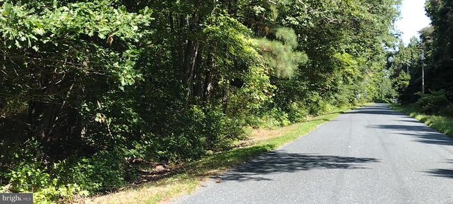 0 Jesterville Rd, Home with 0 bedrooms, 0 bathrooms and null parking in BIVALVE MD | Image 5