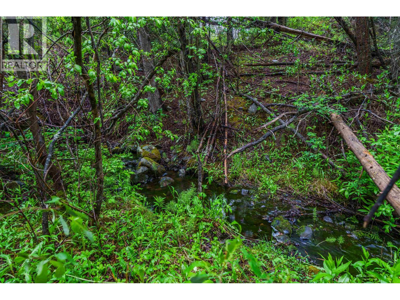 Land in Deka Lake / Sulphurous / Hathaway Lakes 3