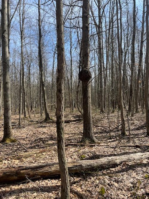 40 acres 52nd St, Pullman, MI, 49450 | Card Image