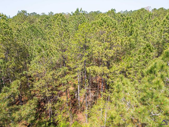 5760 Ga Highway 96 W, Home with 0 bedrooms, 0 bathrooms and null parking in Jeffersonville GA | Image 5
