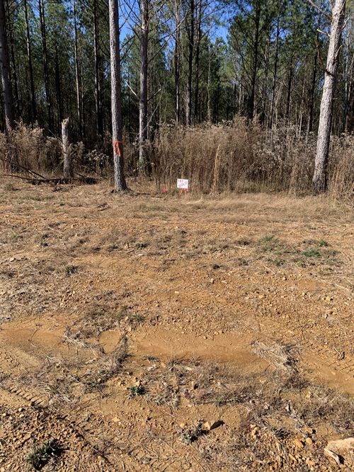 230 Fernwood Dr, Hohenwald, TN, 38462 | Card Image