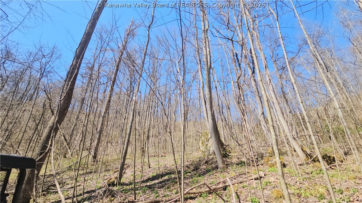 Land in Clendenin 3