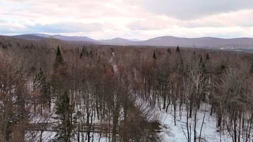 873 Walkerville Rd, North Bangor, NY, 12966 | Card Image