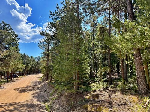 312 Ridge Rd, Ward, CO, 80481-9519 | Card Image