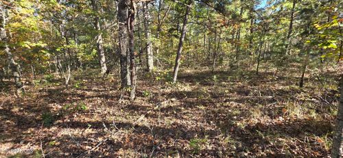 1 Thistle Rd, Monterey, TN, 38574 | Card Image